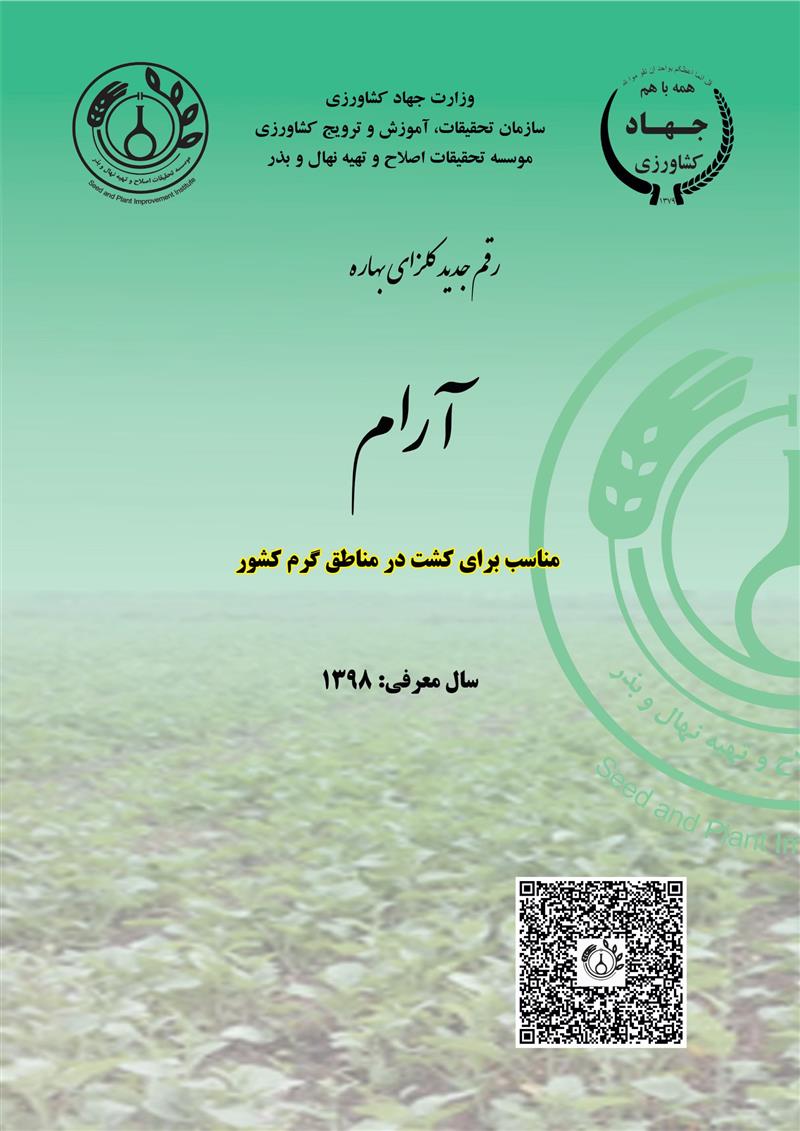 کلزا بهاره، رقم آرام، سال 1398