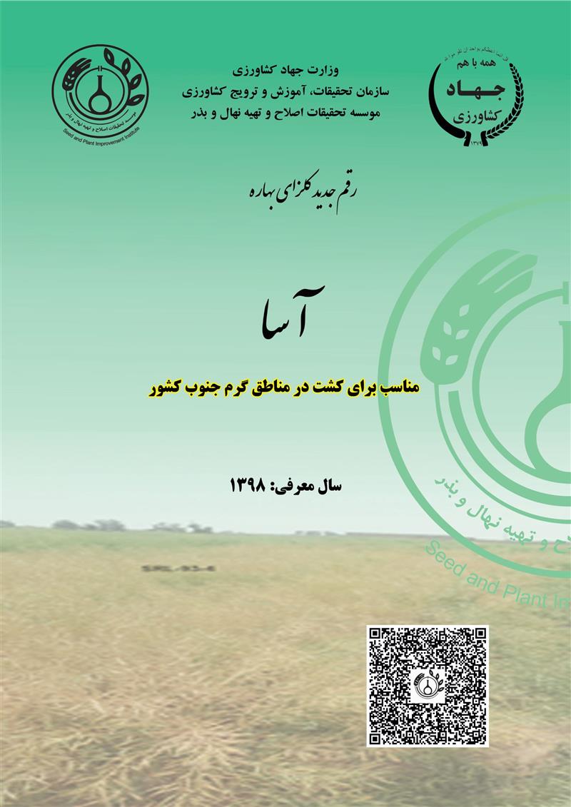 کلزا بهاره، رقم آسا، سال 1398