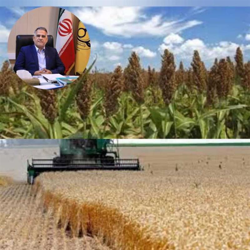 معرفی چهار رقم جدید گندم و سورگوم در راستای ارتقای امنیت غذایی